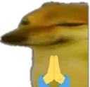 GR_Dorime