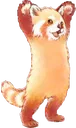 CPV_bouhcute