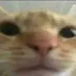 h_
