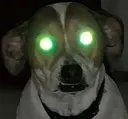 Lupo