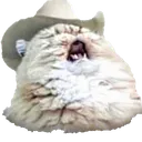 yeehawcat Discord Emoji