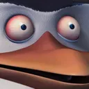 SkipperStare