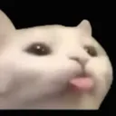 BC_lenguacat