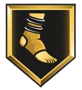 badgeNextGen_AnkleBraces