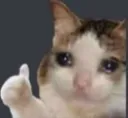 ok_bro