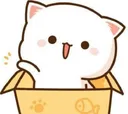 hello