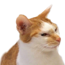 rightCat
