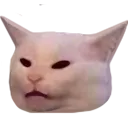 catWat