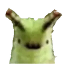 catipiller catipiller