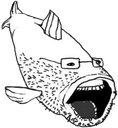 soyfish