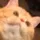 hello