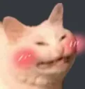 FL_Glad_Cat