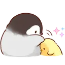 chick_pat3