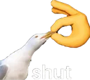 shut