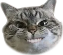 smilecat_neo