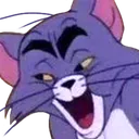 tomhoeeuw