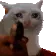 catGun