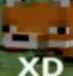 XD