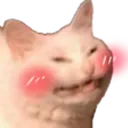 cat_blush