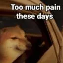 too_much_pain too_much_pain