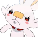 ScorbunnyAngry