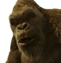 Kong_Huh_2
