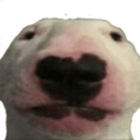 Walter Discord emoji