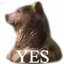 yesBAER yesBAER