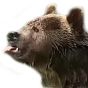 hurBUR