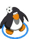 SOCCER