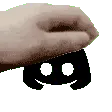 pet_D4