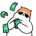 moneycat moneycat