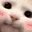 catShy