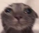 pagbarll4lpbutsad