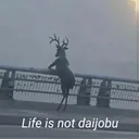 isntdaijoubu