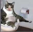 emoji_1