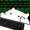 BongoHacker