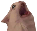 aaaaaa custom emote | Jewish Community