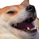 Bamboozle