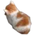 angy