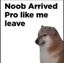 noob