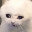 sad sad