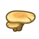 mushroom2