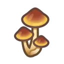 mushrom4
