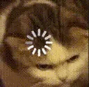 Cat_load Cat_load