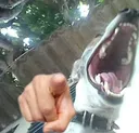 JAAAAAAAAAAAAAAA
