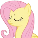 FlutterNo FlutterNo