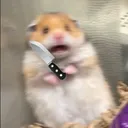 HamsterKnife