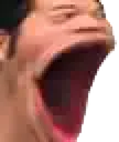 beegpog