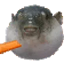 pufferfish pufferfish